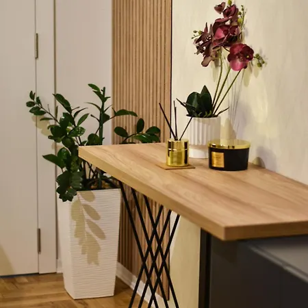 Apartment Vasilisa