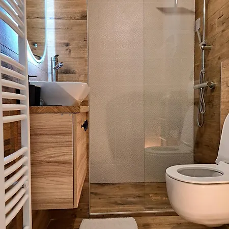Apartment Vasilisa Novi Sad