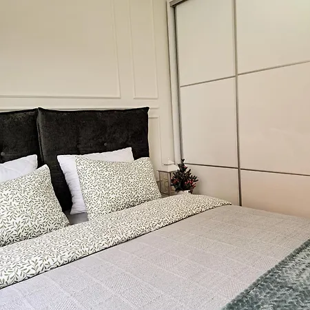 Apartment Vasilisa Novi Sad