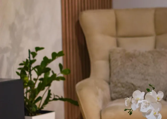 Vasilisa Апартаменты Нови-Сад